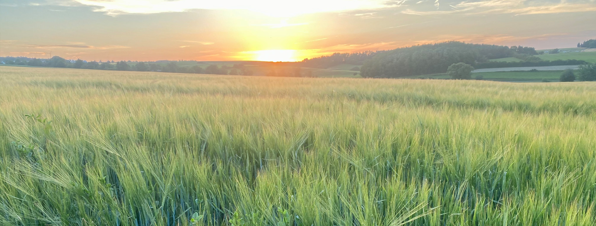 slider-03-sonnenuntergang